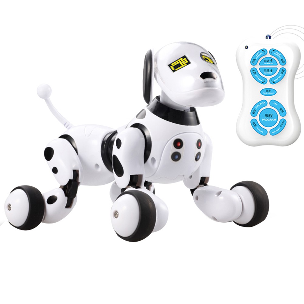 remote control dog toys