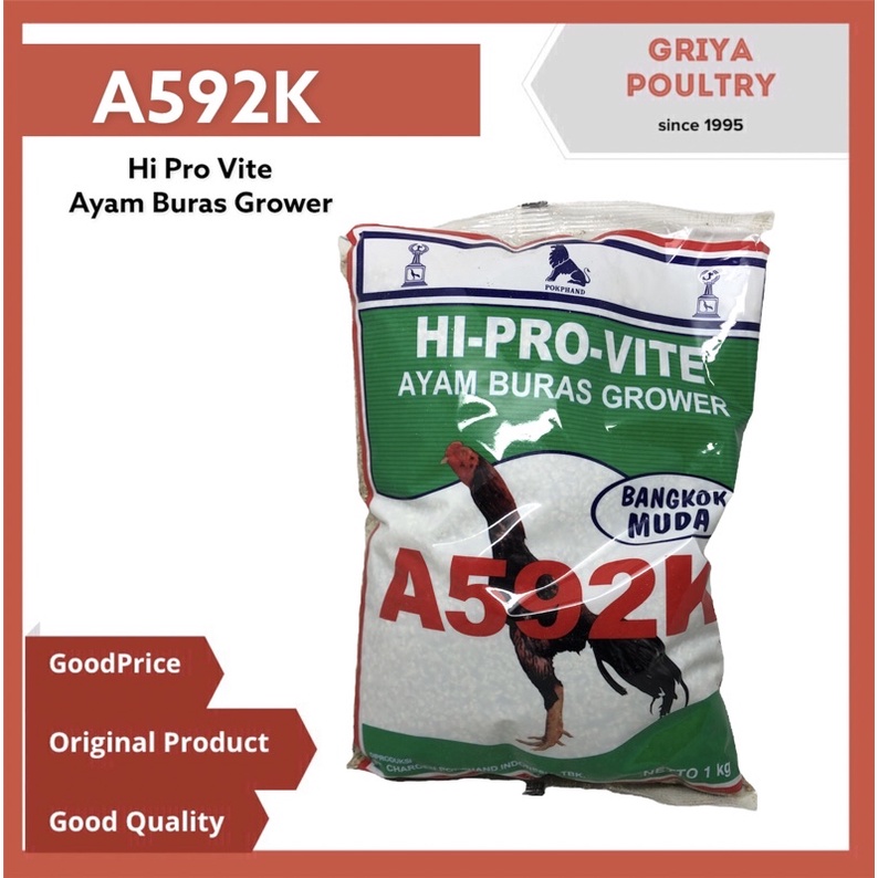 Bangkok buras Chicken Feed A592K pur Chicken #1