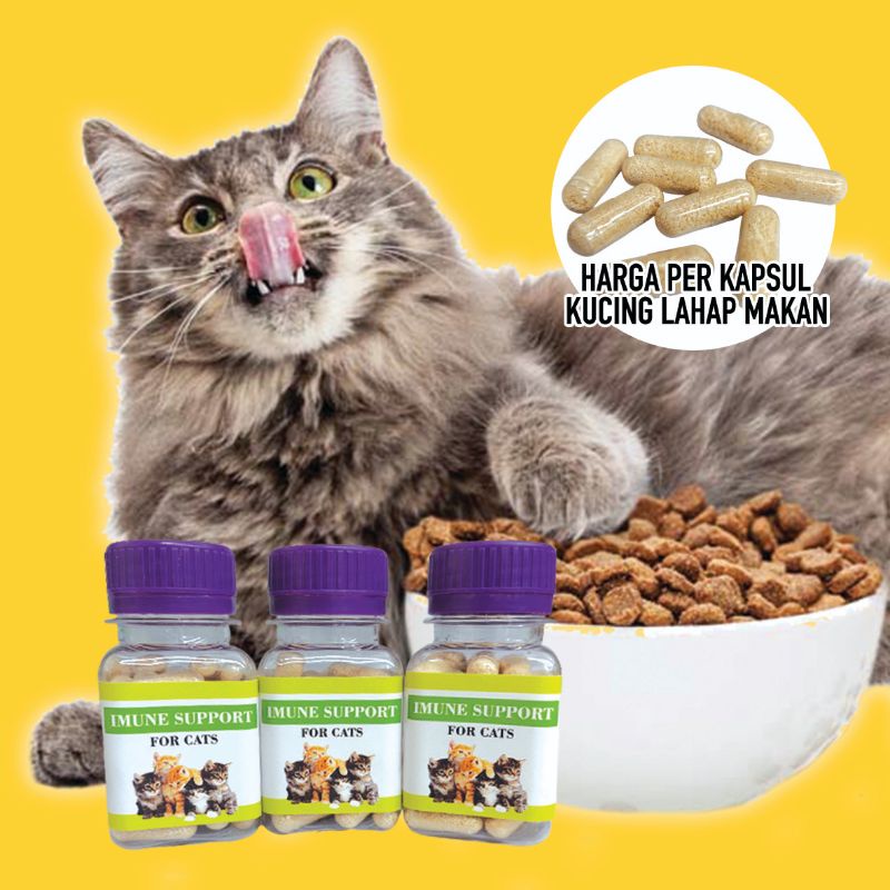 1 Capsule IMUNE SUPPORT - Cat Fattening Medicine For Cats Appetite Enhancer Anti Stress Cat Vitamins Anti Stress
