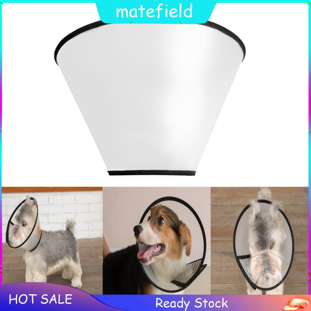 dog anti bite collar