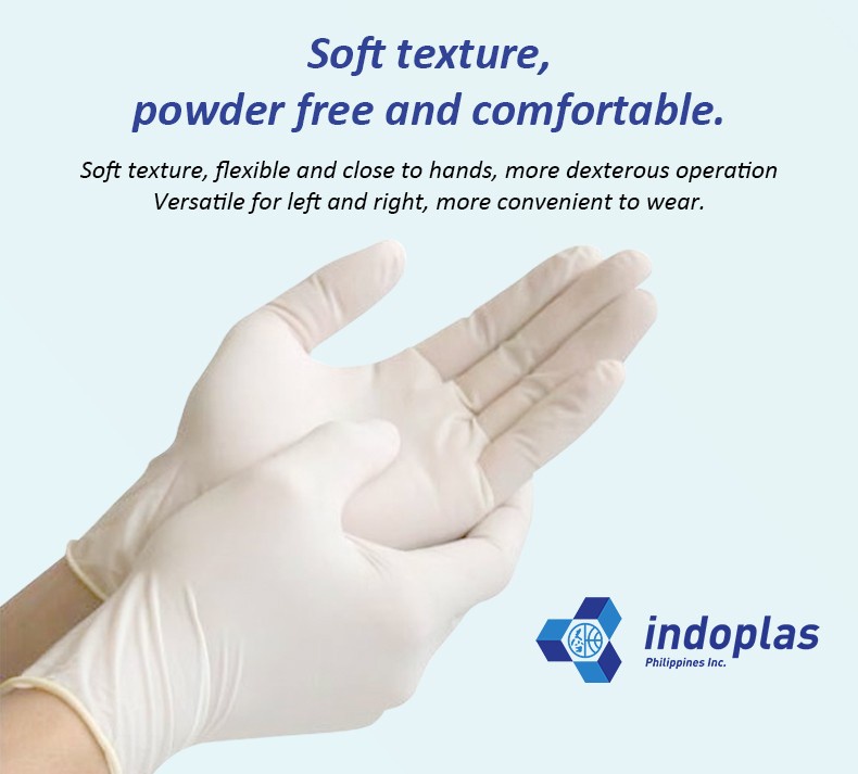 Indoplas Powder Free Examination Latex Gloves Box of 100 Large Shopee