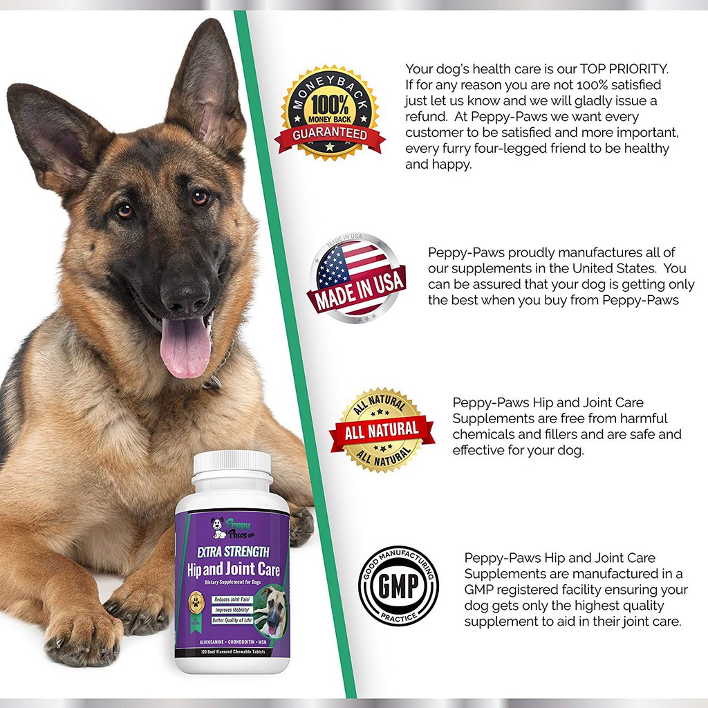 paws joint and hip supplement