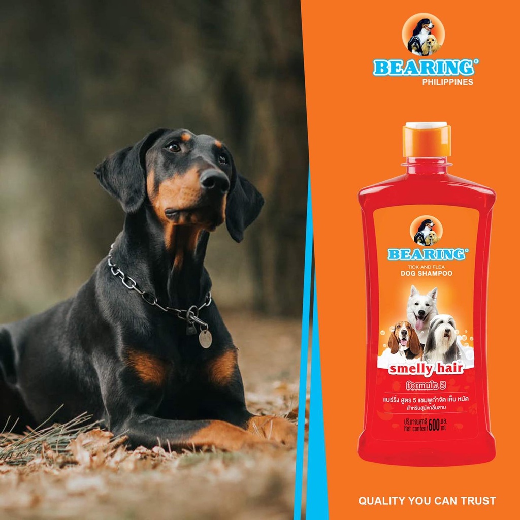 Can U Give A Pregnant Dog A Flea Bath