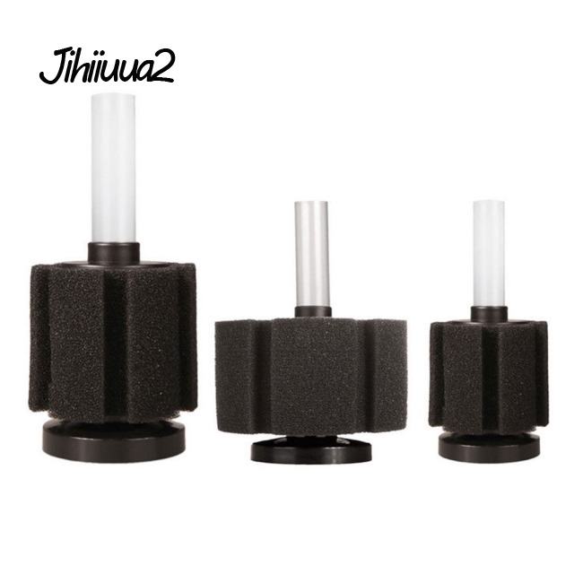 small sponge filter
