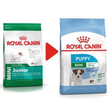 royal canin puppy mini 8 kg