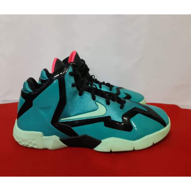 lebron xi south beach