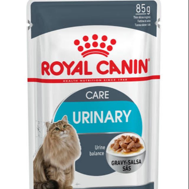 royal canin cat adult