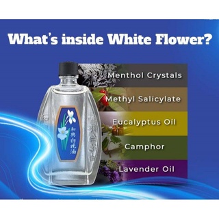 White Flower oil size nO. 5 (1.5ml x 6pcs) #6