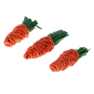 yal❤ 3Pcs Carrot Shaped Rabbit Hamster Chew Bite Toys Guinea Pig Tooth Cleaning Toys