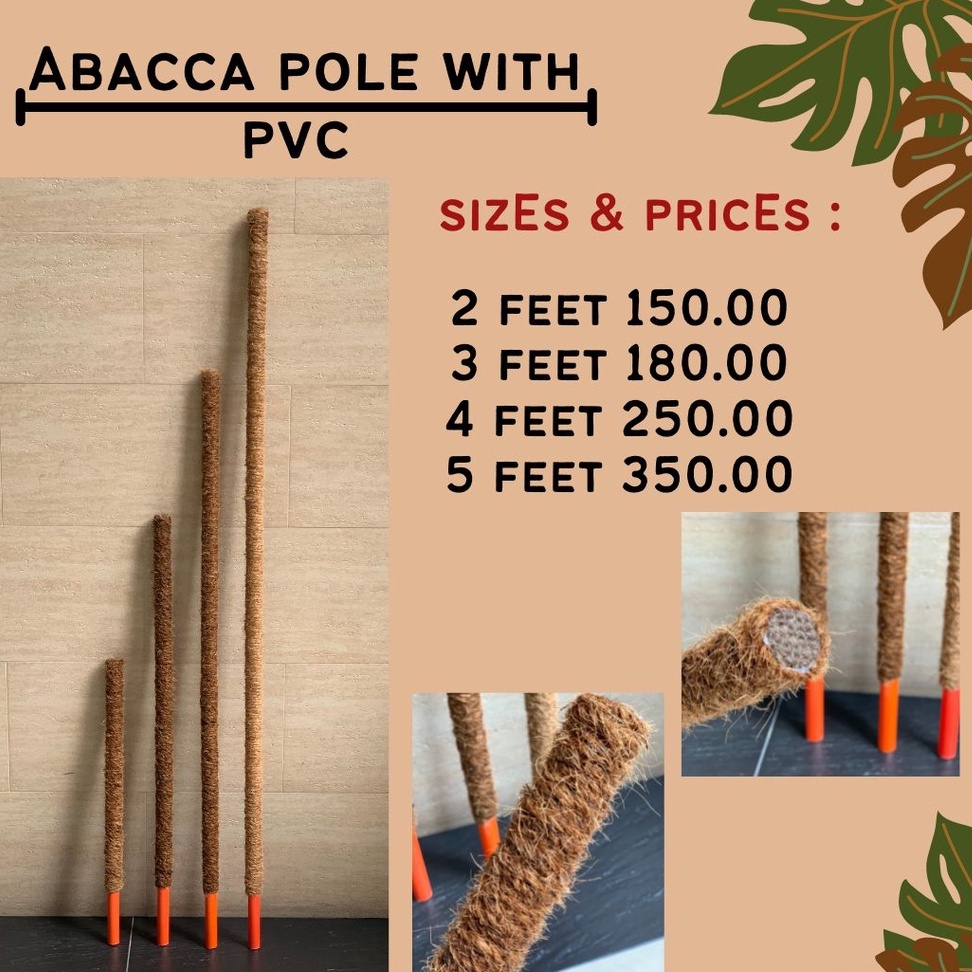 Plant Pole/Plant Support ( For vines and creeping plant). | Shopee ...