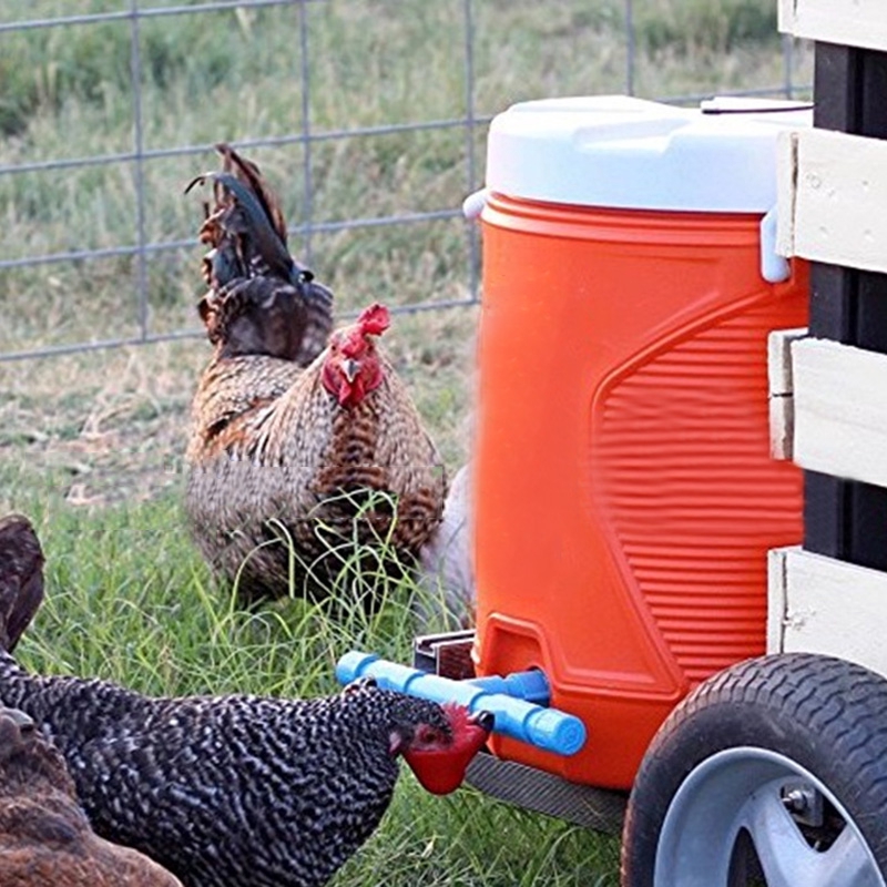 Durable Bird Hen Chook Poultry Duck Feeder Drinking Bowl Shopee