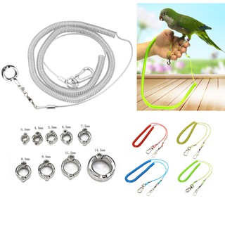 Birds Flying Rope with training ring set 3m/5m/10m Parrot pigeon Flying Rope Pet Leash Kits Training Rope (1 Pc)