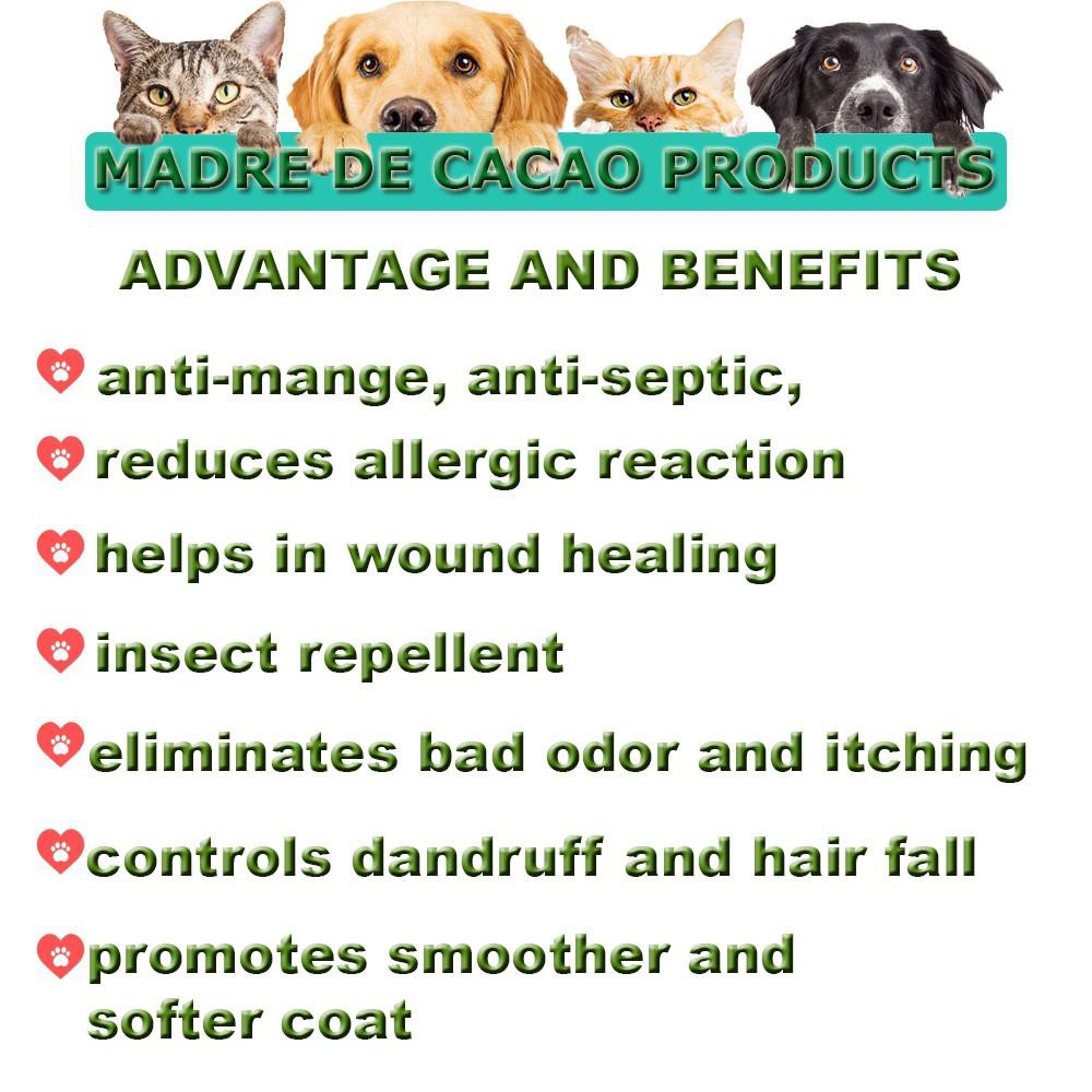 Are Shampoo Scents Bad For Dogs