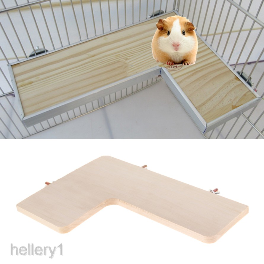 hamster platform