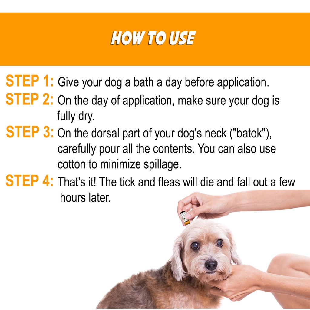 Will Giving A Dog A Bath Kill Fleas