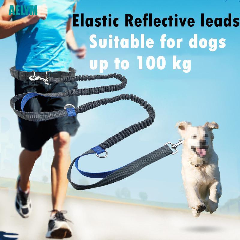 waist running leash