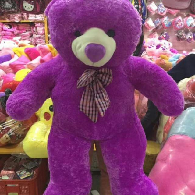 human teddy bear