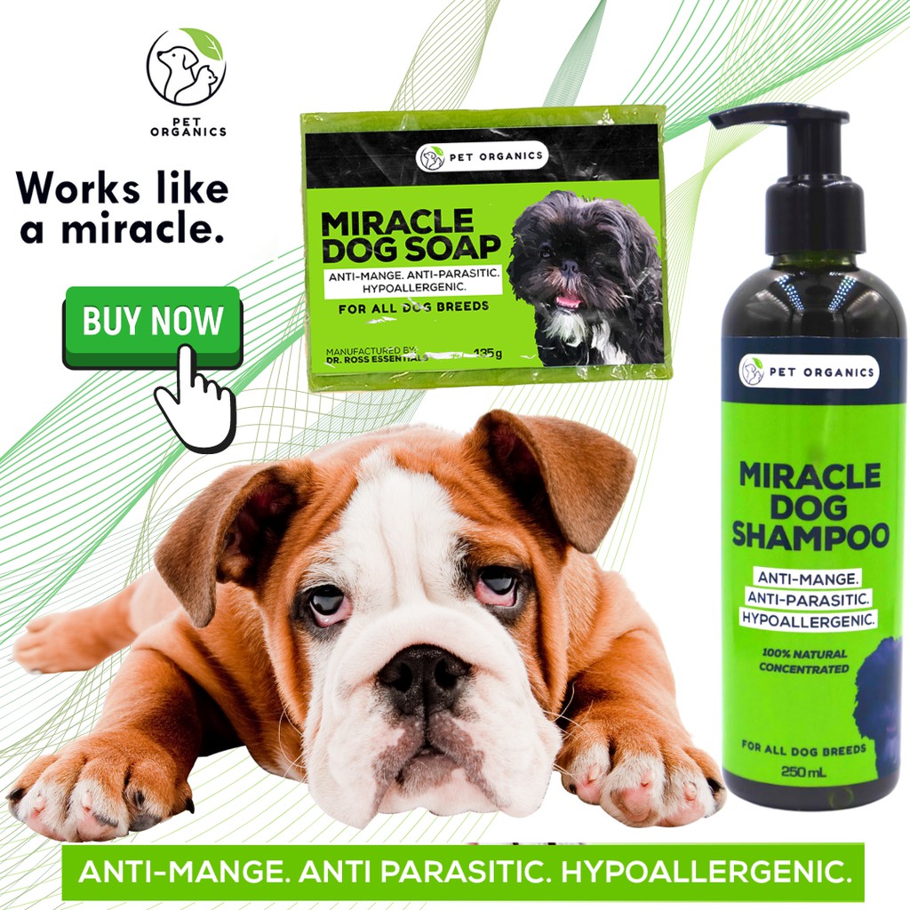 [BUNDLE SET] MIRACLE DOG SHAMPOO AND DOG SOAP | anti mange | anti ...