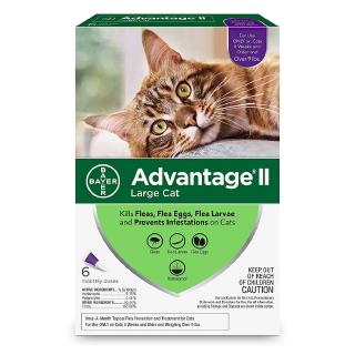 Advantage Tick \u0026 Flea For Large Cat 