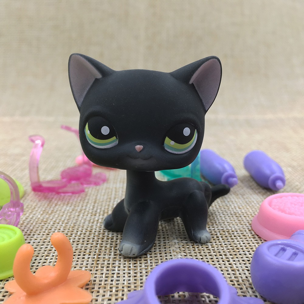 littlest pet shop black cat
