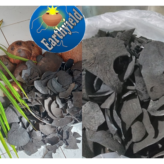 Coco Coconut Shell Charcoal Uling Shopee Philippines