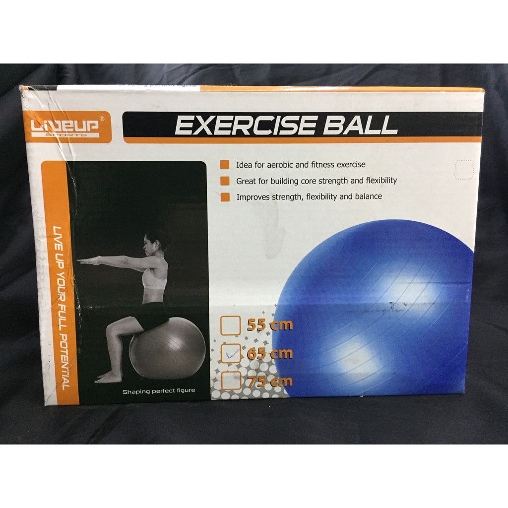 65 exercise ball