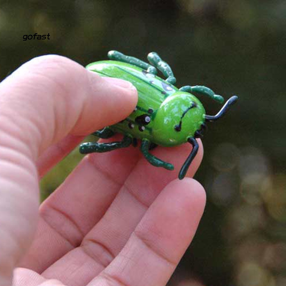 cicada toy