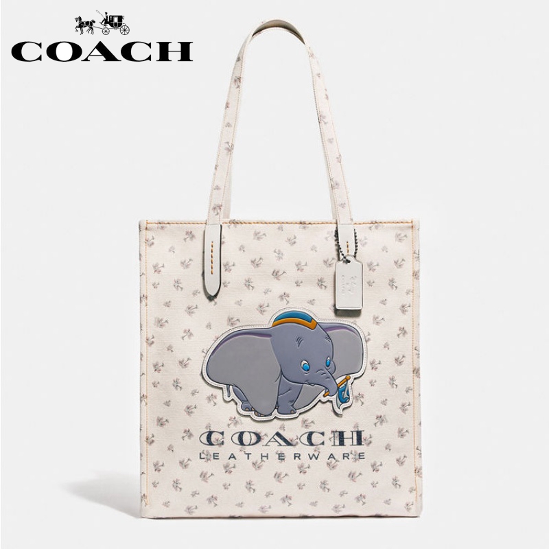 disney canvas bag