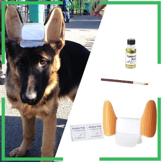 [AMLESO] Puppy Dog Ear Erect Stand Up Sticker Care Tool Kit for German Shepherdcod