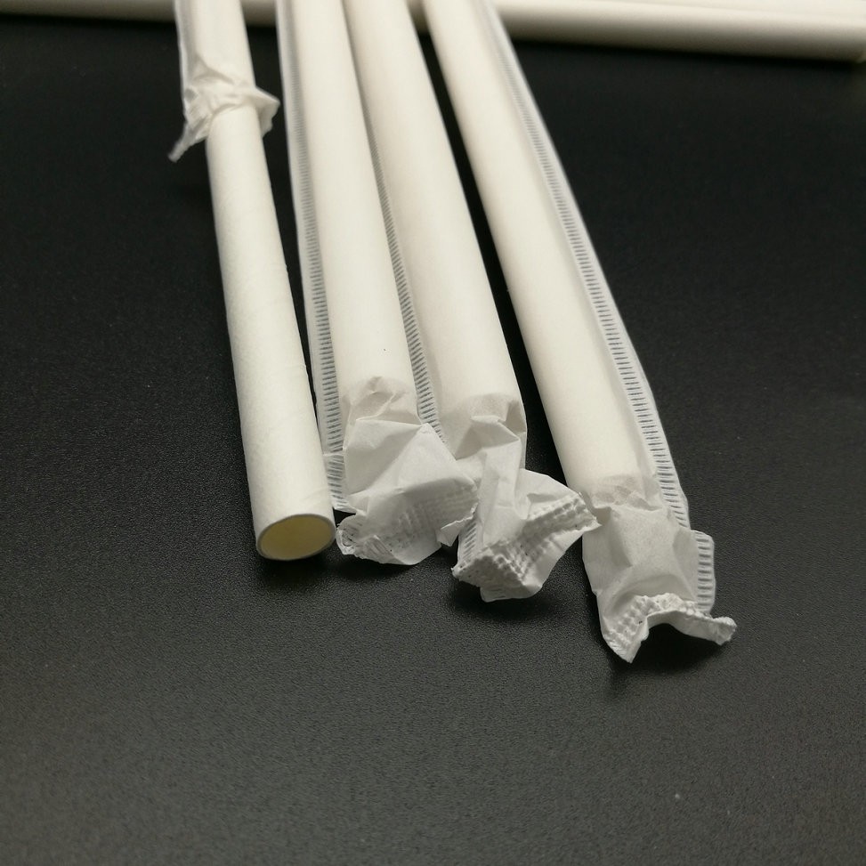 100pcs Paper Sago Straw (Individually wrapped) Shopee Philippines