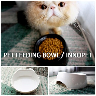 small cat dishes