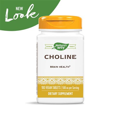 Pure Choline Nature's Way 500 Mg 100 Tablets Shopee Philippines