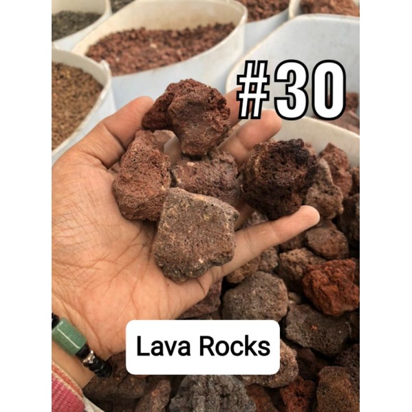 Aquarium Pebbles Black Sand sea shells Lava Rock Marble Chips 1kg #2