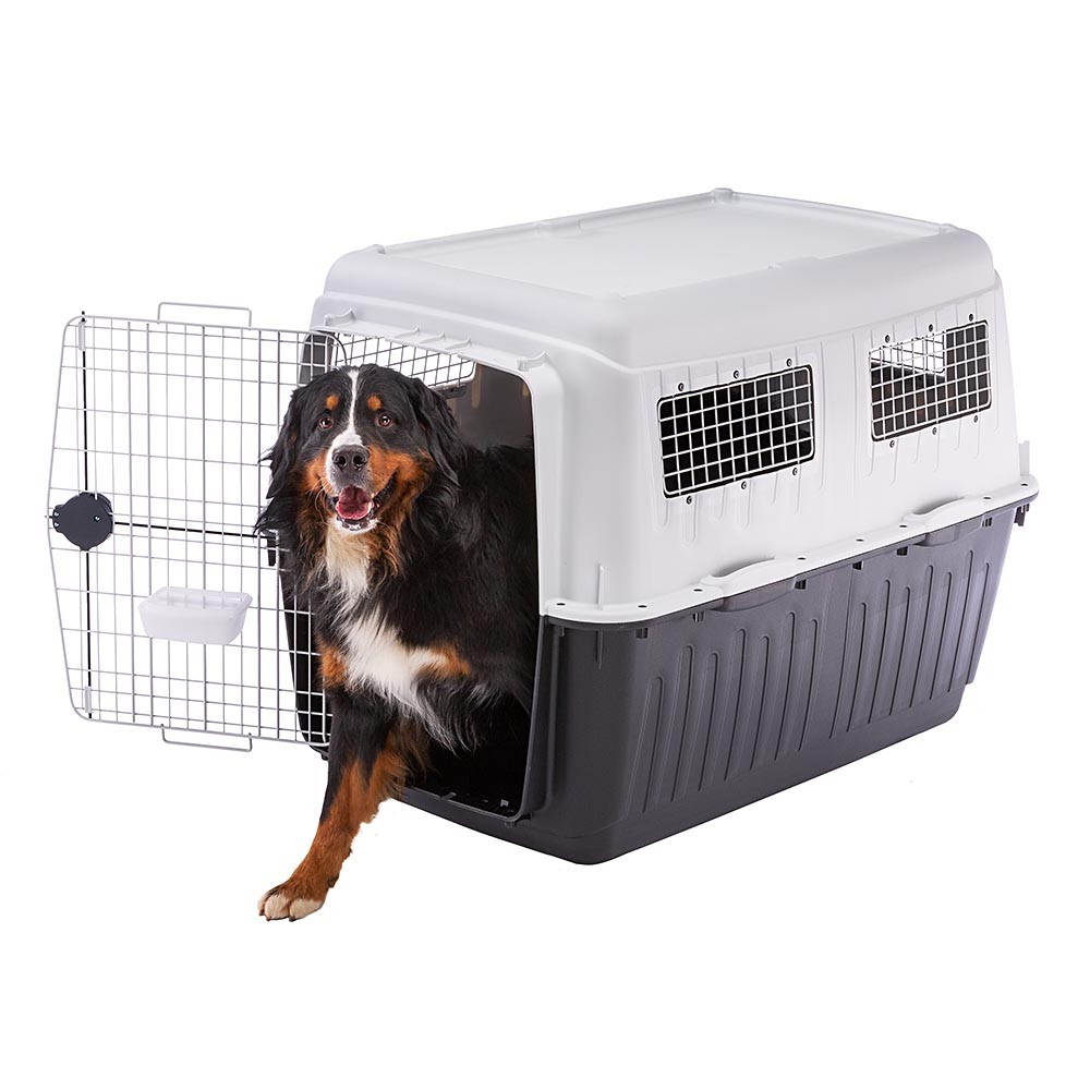 large breed dog carrier