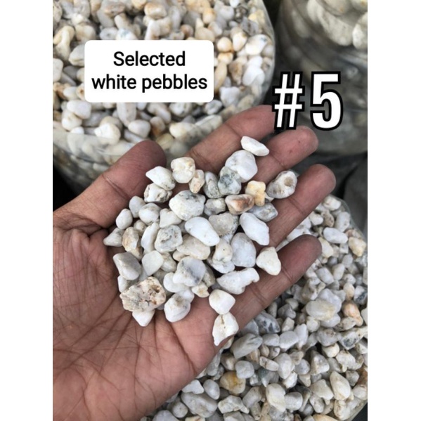 Aquarium Pebbles Black Sand sea shells Lava Rock Marble Chips 1kg #3