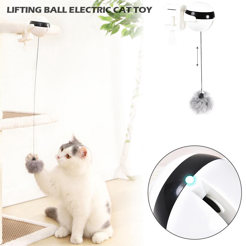 motion ball cat toy