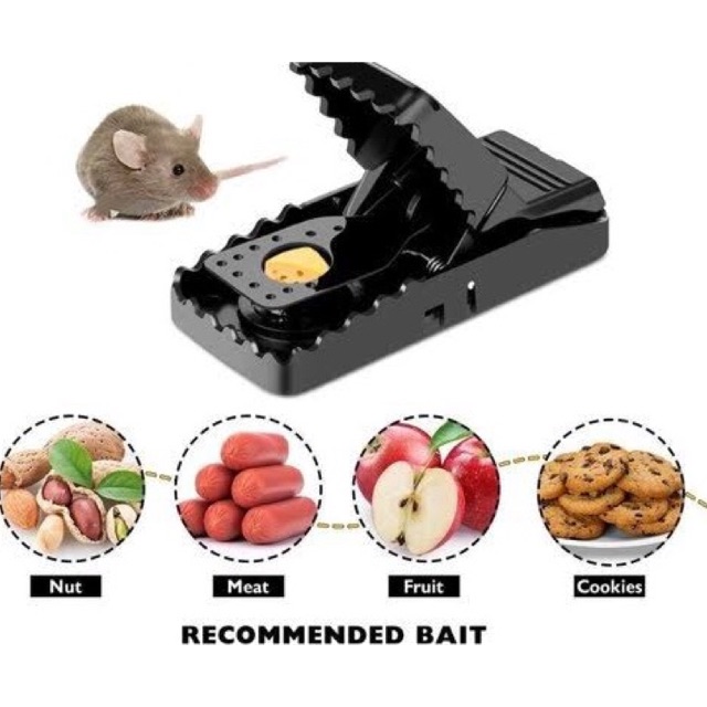 reusable mouse traps that work