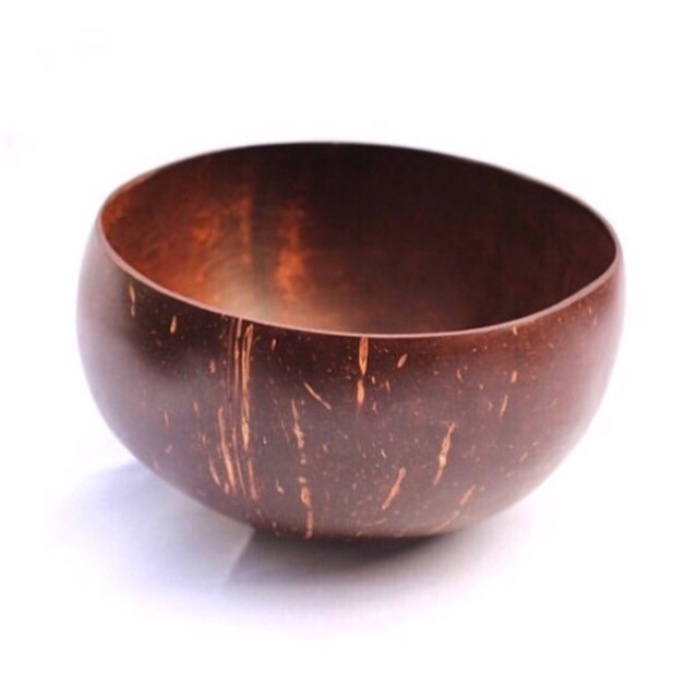Coconut Shell Bowl (eco friendly) Shopee Philippines