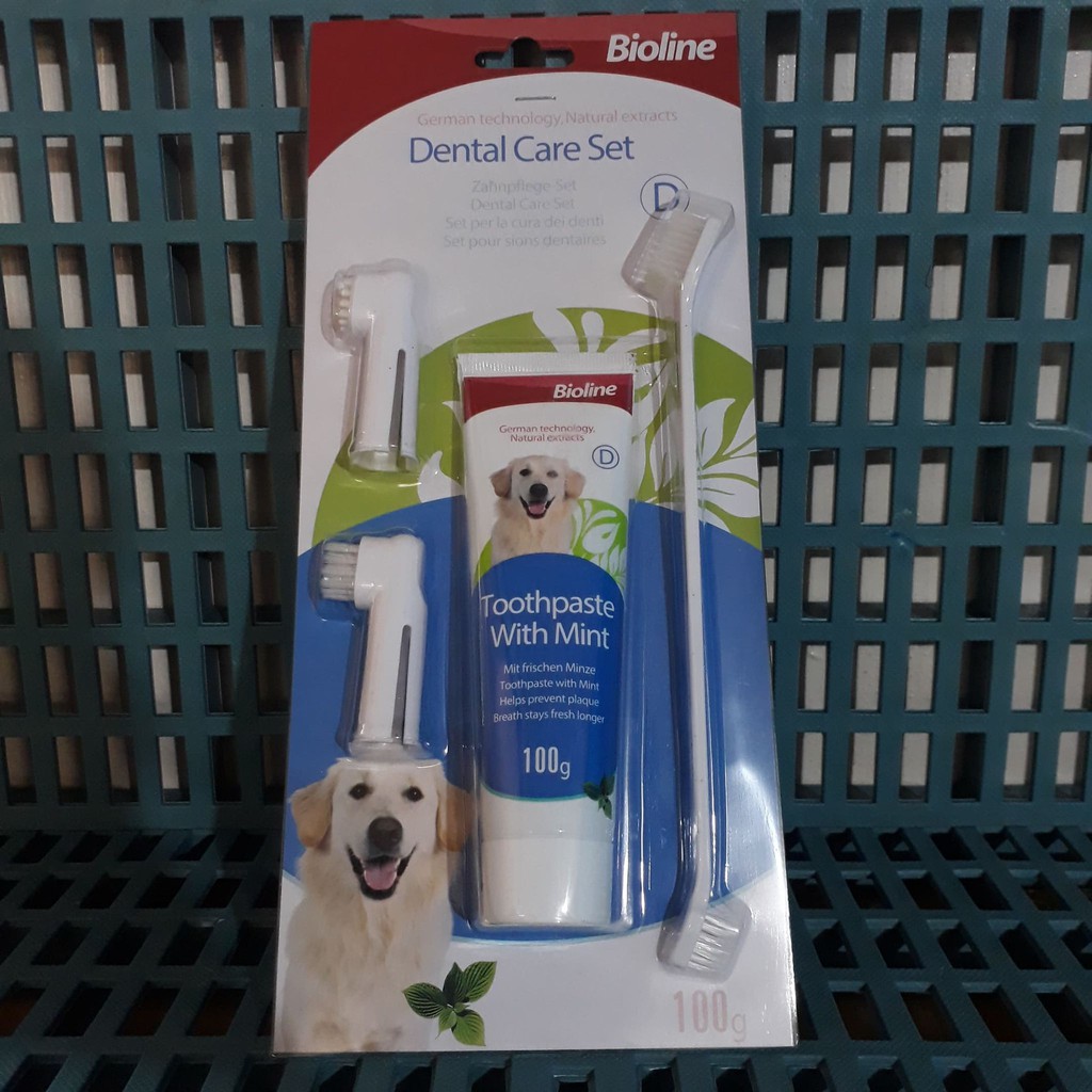 Bioline Dental Care Set 100g (Mint Flavor) Shopee Philippines