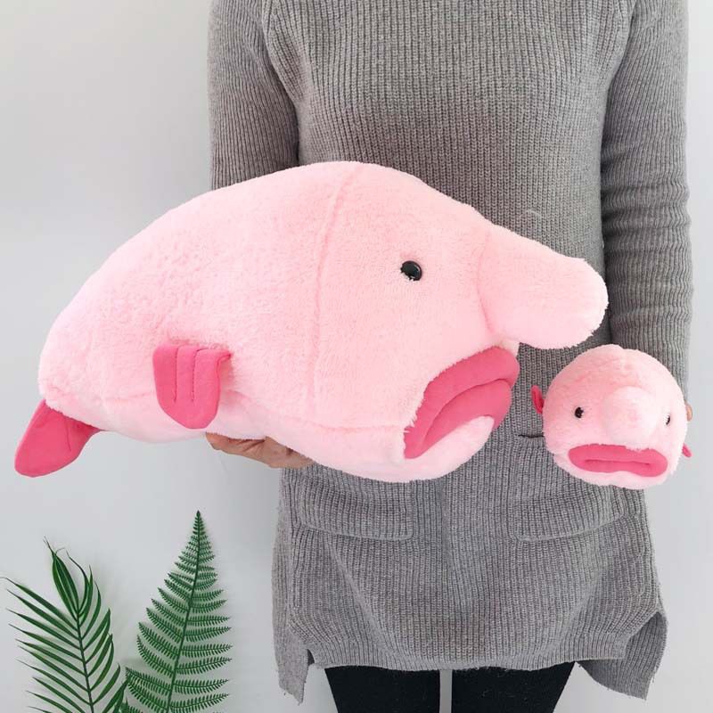 blobfish stuffed animal