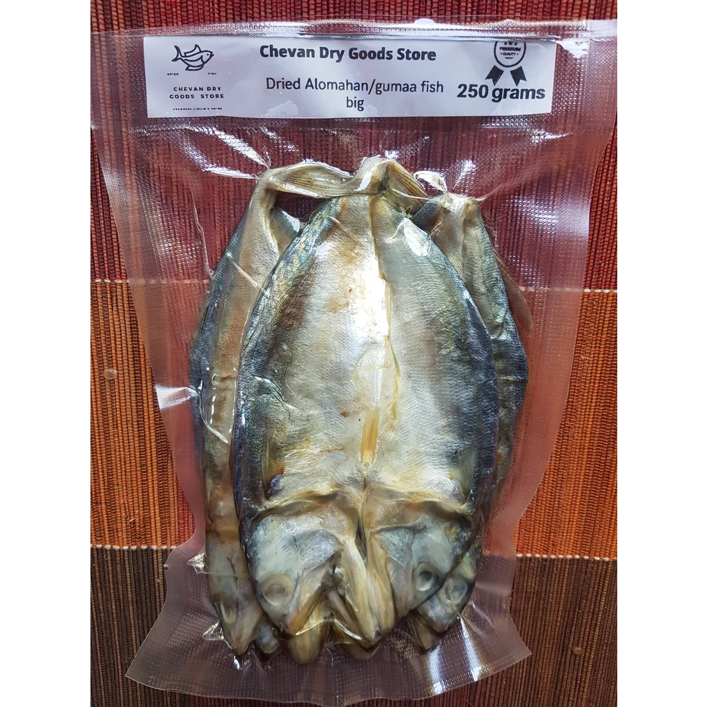 Alomahan,Gutob, Gumaa fish in dry. Daing buwad pinakas Shopee Philippines