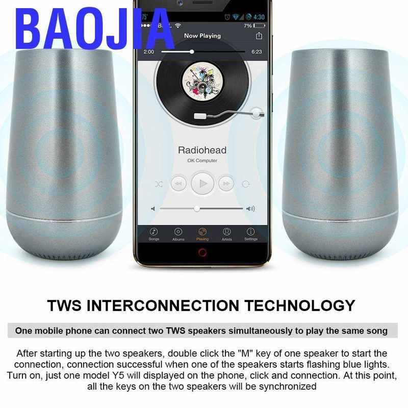 connect two speakers to one phone