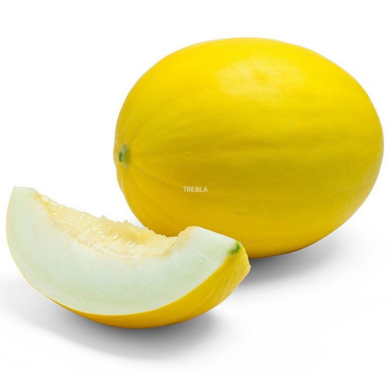 Honey dew melon seeds (15 seeds/pack) Shopee Philippines