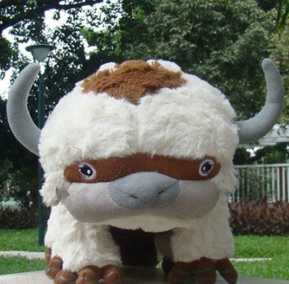 appa pillow pet