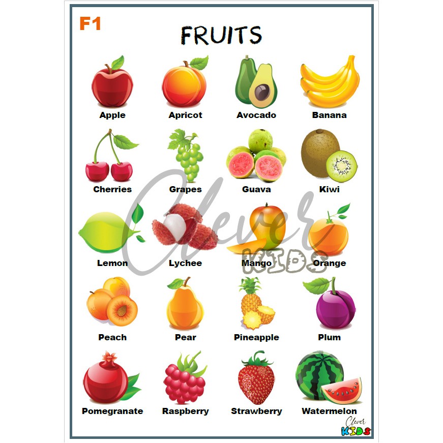 Fruits Educational Chart A4 Laminated by Clever Kids | Shopee Philippines