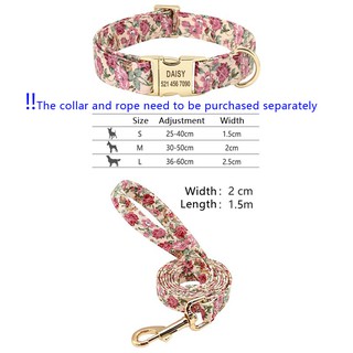 dog collar brands