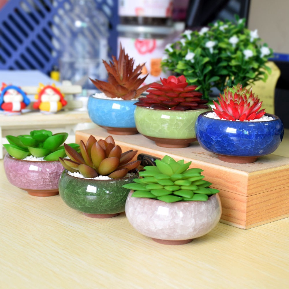 Cute IceCrack Glaze Ceramic Flower Pots / Juicy Plants