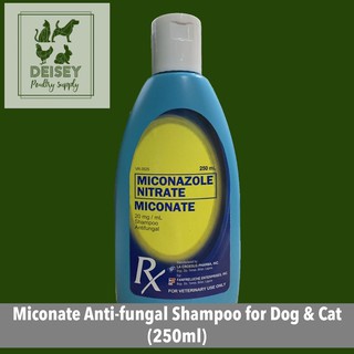 Miconate Anti-fungal Shampoo for Dog & Cat (250ml)
