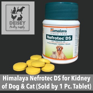 Himalaya Nefrotec DS for Dog & Cat Kidney (Sold per 1 pc tablet)
