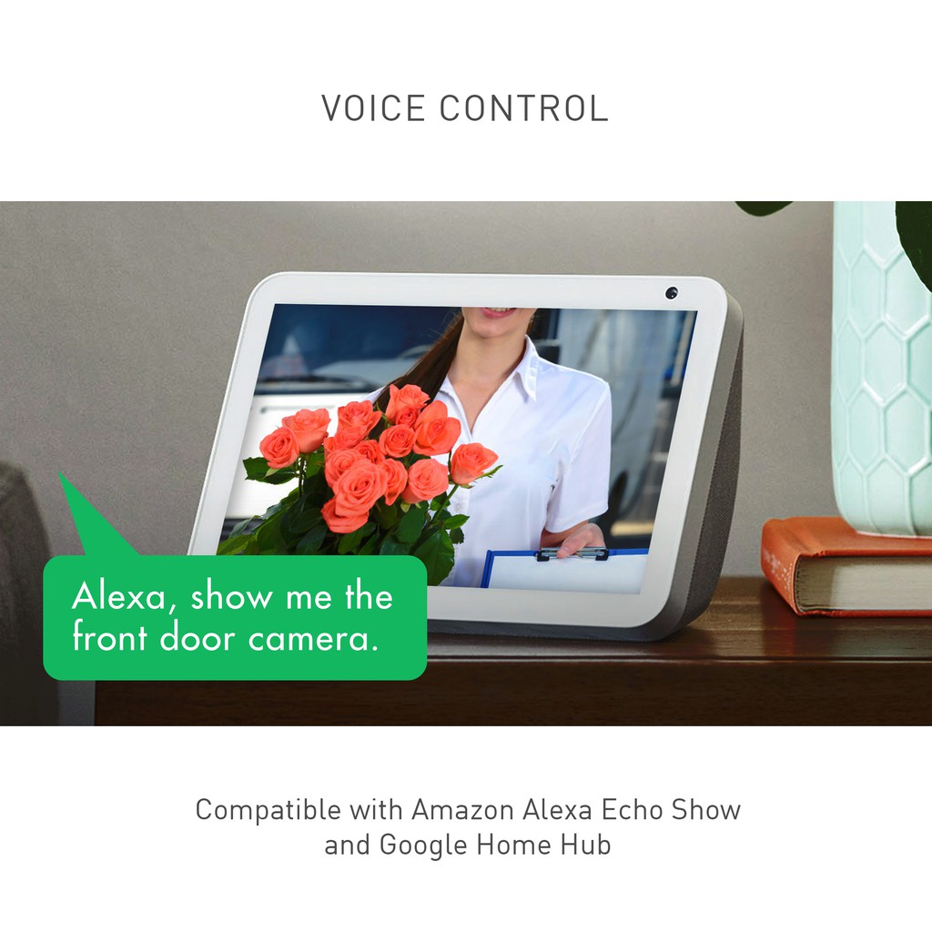 is google home hub compatible with alexa
